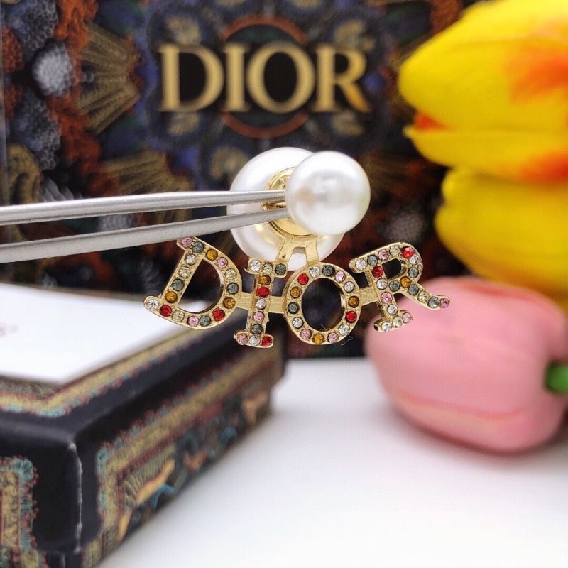 Christian Dior Earrings